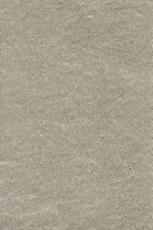 Ковровое покрытие AW Fedone 90 - (5м) в Кургане