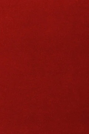 Ковровое покрытие AW Oinone 10 - (4м) в Кургане