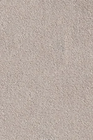 Ковровое покрытие AW Messalina 37 - (5м) в Кургане