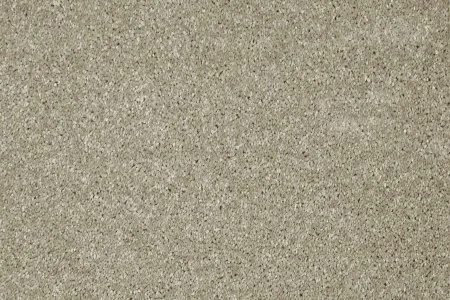 Ковровое покрытие AW Gala 03 - (5м) в Кургане