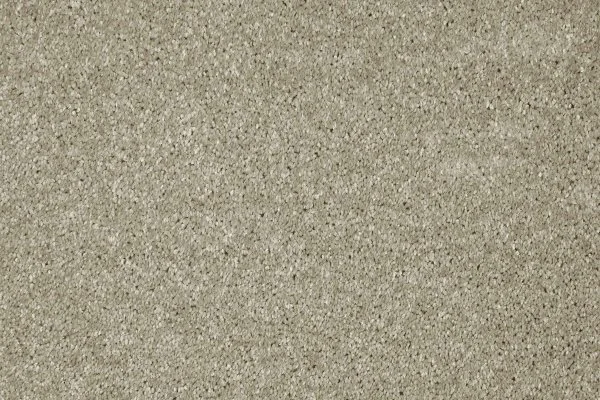 Ковровое покрытие AW Gala 03 - (4м) в Кургане