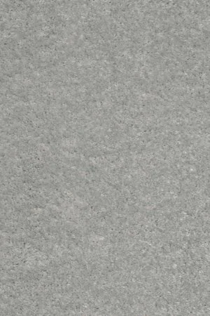 Ковровое покрытие AW Euphoria 92 - (5м) в Кургане