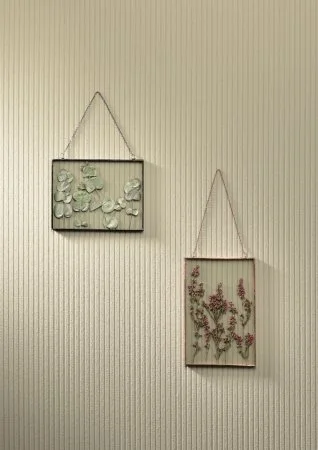 Обои Loymina Shade SD5, 002/1 в Кургане