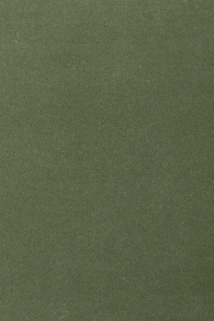 Ковровое покрытие AW Oinone 24 - (5м) в Кургане