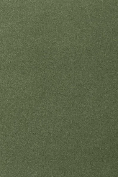 Ковровое покрытие AW Oinone 24 - (4м) в Кургане