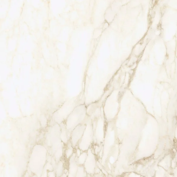 Керамогранит Coliseum Микеланджело Ворм 60х60 (Натуральный и Реттифицированный) в Кургане