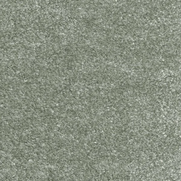 Ковровое покрытие AW Euphoria 28 - (5м) в Кургане