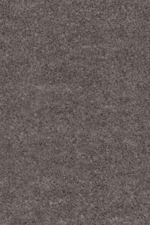 Ковровое покрытие AW Euphoria 45 - (4м) в Кургане