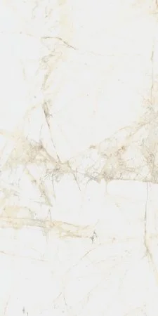 Керамогранит Coliseum Канова Уайт 60х120 (Натуральный и Реттифицированный) в Кургане