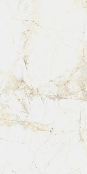 Керамогранит Coliseum Канова Уайт 60х120 (Натуральный и Реттифицированный) в Кургане