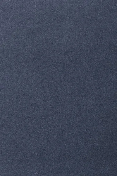 Ковровое покрытие AW Oinone 78 - (4м) в Кургане