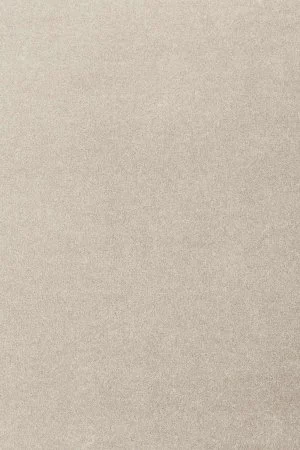 Ковровое покрытие AW Oinone 39 - (4м) в Кургане