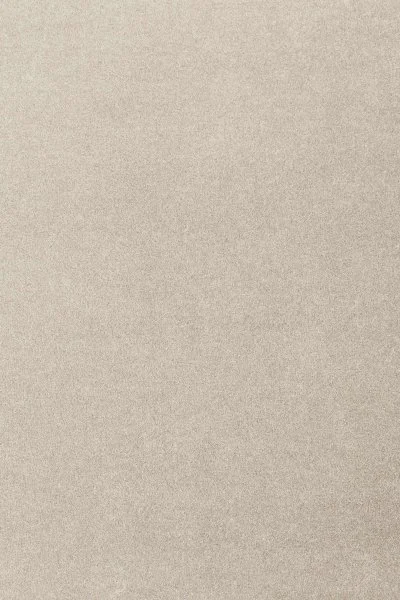 Ковровое покрытие AW Oinone 39 - (4м) в Кургане