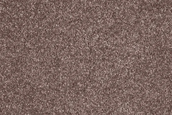 Ковровое покрытие AW Gala 60 - (5м) в Кургане