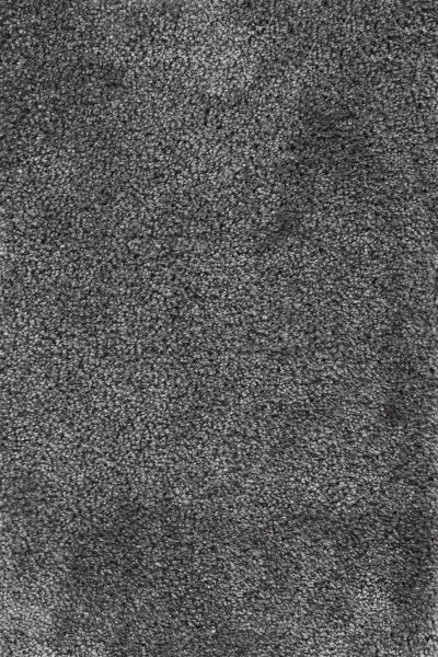 Ковровое покрытие AW Fedone 99 - (5м) в #REGION_NAME_DECLINE_PP#